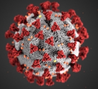 CDC Coronavirus Image