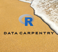 Data Carpentry Logo of R logo with beach in background