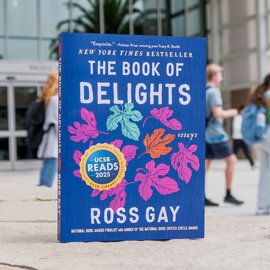 The Book of Delights book cover